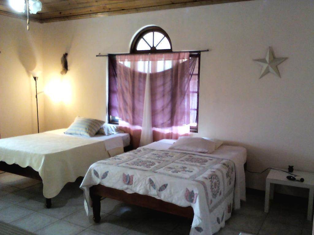 Dolphin Bay Yoga Guest House Drapers Bagian luar foto