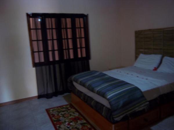 Dolphin Bay Yoga Guest House Drapers Bagian luar foto