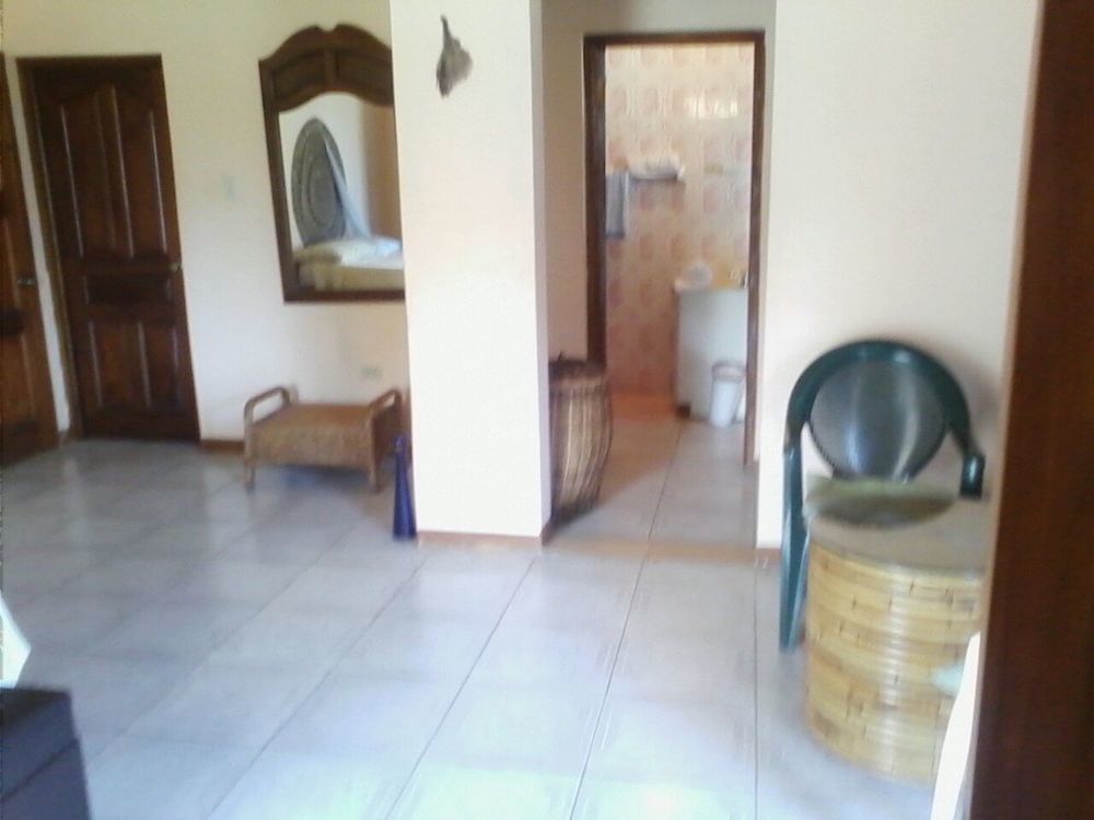 Dolphin Bay Yoga Guest House Drapers Bagian luar foto